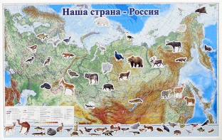 Магнитные карточки "Животные" - fgospostavki.ru - Кубинка