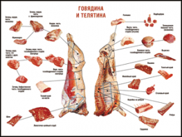 Таблица "Правила разделки мясных туш. Говядина и телятина" (100х140 сантиметров, винил) - fgospostavki.ru - Кубинка
