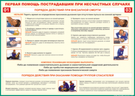 Таблица "Порядок действий при внезапной смерти" (100х140 сантиметров, винил) - fgospostavki.ru - Кубинка