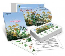 Комбинированное наглядное пособие «Растения» - fgospostavki.ru - Кубинка