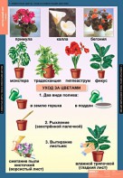 Комплект таблиц. Окружающий мир 1 класс. - fgospostavki.ru - Кубинка