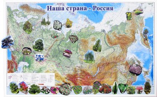 Магнитные карточки "Растения" - fgospostavki.ru - Кубинка