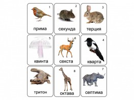 Набор магнитных карточек по музыке "Животные" (9 штук) - fgospostavki.ru - Кубинка