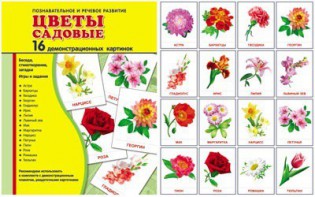 Демонстрационные карточки "Цветы садовые" - fgospostavki.ru - Кубинка