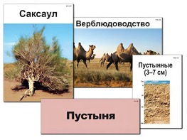 Модель-аппликация "Природные зоны России" (ламинированная) - fgospostavki.ru - Кубинка