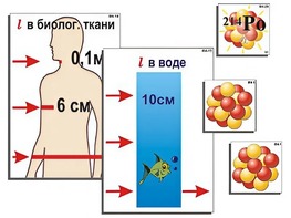 Модель-аппликация "Явление радиоактивности" (ламинированная) - fgospostavki.ru - Кубинка