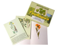 Гербарий "Систематика растений. Семейство Пасленовые. Крестоцветные. Сложноцветные" (раздаточный) - fgospostavki.ru - Кубинка