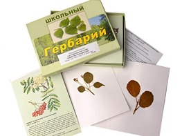 Гербарий "Систематика растений. Семейство Розоцветные" (раздаточный) - fgospostavki.ru - Кубинка