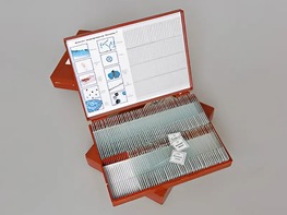 Комплект микропрепаратов "Ботаника 2" - fgospostavki.ru - Кубинка