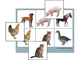 Логопедическое лото "Домашние животные" (4 планшета, 24 карточки, цветное, ламинированное) - fgospostavki.ru - Кубинка