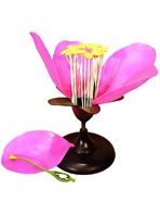 Модель цветка яблони - fgospostavki.ru - Кубинка