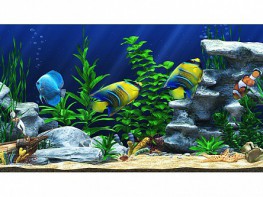 Интерактивный аттракционный комплекс "Водный мир" - fgospostavki.ru - Кубинка