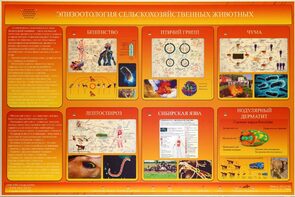 Электрифицированный стенд «Эпизоотология сельскохозяйственных животных» - fgospostavki.ru - Кубинка