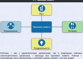 Интерактивные курсы. Биология 5 класс. Базовый - fgospostavki.ru - Кубинка