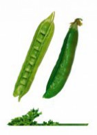 Комплект карточек "Запоминай, играй, считай" - Овощи - fgospostavki.ru - Кубинка