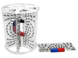 Модель для демонстрации в объеме линий магнитного поля - fgospostavki.ru - Кубинка