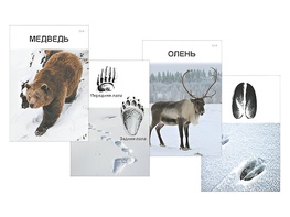 Комплект дидактических карточек "Следы на снегу" - fgospostavki.ru - Кубинка