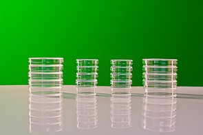 Набор чашек Петри - fgospostavki.ru - Кубинка