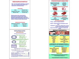 Плакаты ПРОФТЕХ "Классификации и виды мяса" (4 пл, винил, 70х100) - fgospostavki.ru - Кубинка