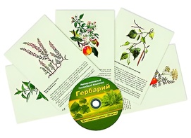 Интерактивный наглядный комплекс "Гербарий "Для начальной школы" - fgospostavki.ru - Кубинка