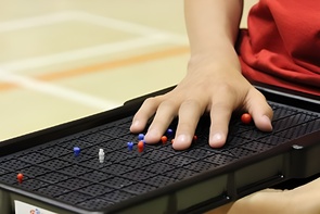 Сетка для игры тактильная (Бочча) - fgospostavki.ru - Кубинка