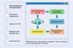 Интерактивные курсы. Информатика 10 класс . Базовый. - fgospostavki.ru - Кубинка