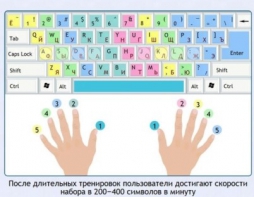 Интерактивные курсы. Информатика 7 класс . Базовый. - fgospostavki.ru - Кубинка