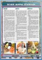 Стенд "Белки. Жиры. Углеводы" - fgospostavki.ru - Кубинка