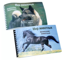 Пособие для слабовидящих - Домашние животные - fgospostavki.ru - Кубинка