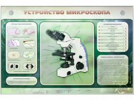 Электрифицированный стенд "Устройство микроскопа и правила работы c ним" - fgospostavki.ru - Кубинка