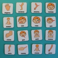 Набор карточек "Части тела" - fgospostavki.ru - Кубинка