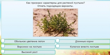 Интерактивные курсы. Окружающий мир 3 класс . Базовый. - fgospostavki.ru - Кубинка