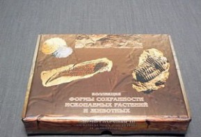 Коллекция "Формы сохранности ископаемых растений и животных" - fgospostavki.ru - Кубинка