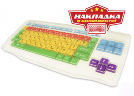 Клавиатура адаптированная с крупными кнопками + пластиковая накладка, разделяющая клавиши - fgospostavki.ru - Кубинка