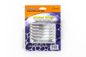 Набор микропрепаратов для микроскопа №5 «Насекомые» - fgospostavki.ru - Кубинка