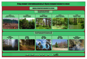 Стенд-планшет электрифицированный «Оценка пожарной опасности в лесах»  - fgospostavki.ru - Кубинка