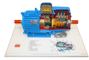 Стенд-планшет «Асинхронный двигатель с фазным ротором» - fgospostavki.ru - Кубинка