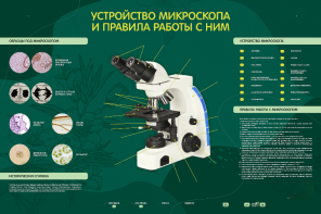 Электрифицированный стенд "Устройство микроскопа и правила работы c ним" - fgospostavki.ru - Кубинка