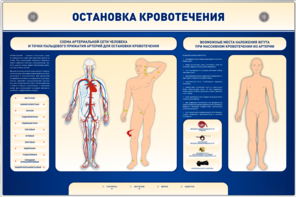 Электрифицированный стенд-тренажер "Остановка кровотечения" - fgospostavki.ru - Кубинка