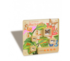 Панель «Жизненный цикл бабочки» - fgospostavki.ru - Кубинка