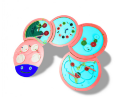 Тактильно-развивающая панель «Гусеница» - fgospostavki.ru - Кубинка