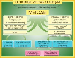 Стенд "Методы селекции и биотехнологии" - fgospostavki.ru - Кубинка