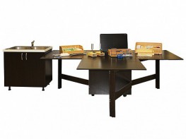 Многофункциональный мобильный лабораторный комплекс для малокомплектных школ по предметам физика, химия, биология - fgospostavki.ru - Кубинка