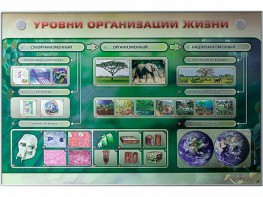Электрифицированный стенд "Уровни организации жизни" - fgospostavki.ru - Кубинка
