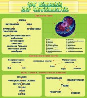 Стенд "От клетки до организма" - fgospostavki.ru - Кубинка
