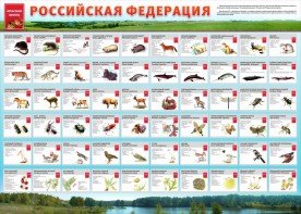 Стенд "Красная книга РФ" - fgospostavki.ru - Кубинка