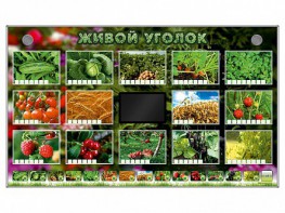 Комплект оборудования "Живой уголок" (растения) - fgospostavki.ru - Кубинка