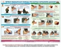 Комплект плакатов "Оказание первой доврачебной медицинской помощи" - fgospostavki.ru - Кубинка