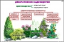 Комплект кодотранспарантов "Культурные растения" - fgospostavki.ru - Кубинка