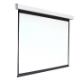 Экран настенный с электроприводом DSEF-16909 - fgospostavki.ru - Кубинка